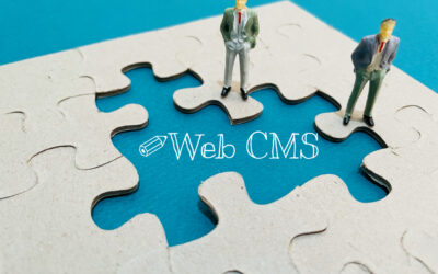 Bezpieczeństwo stron internetowych – jak nie paść ofiarą ataku i co ma do tego CMS?